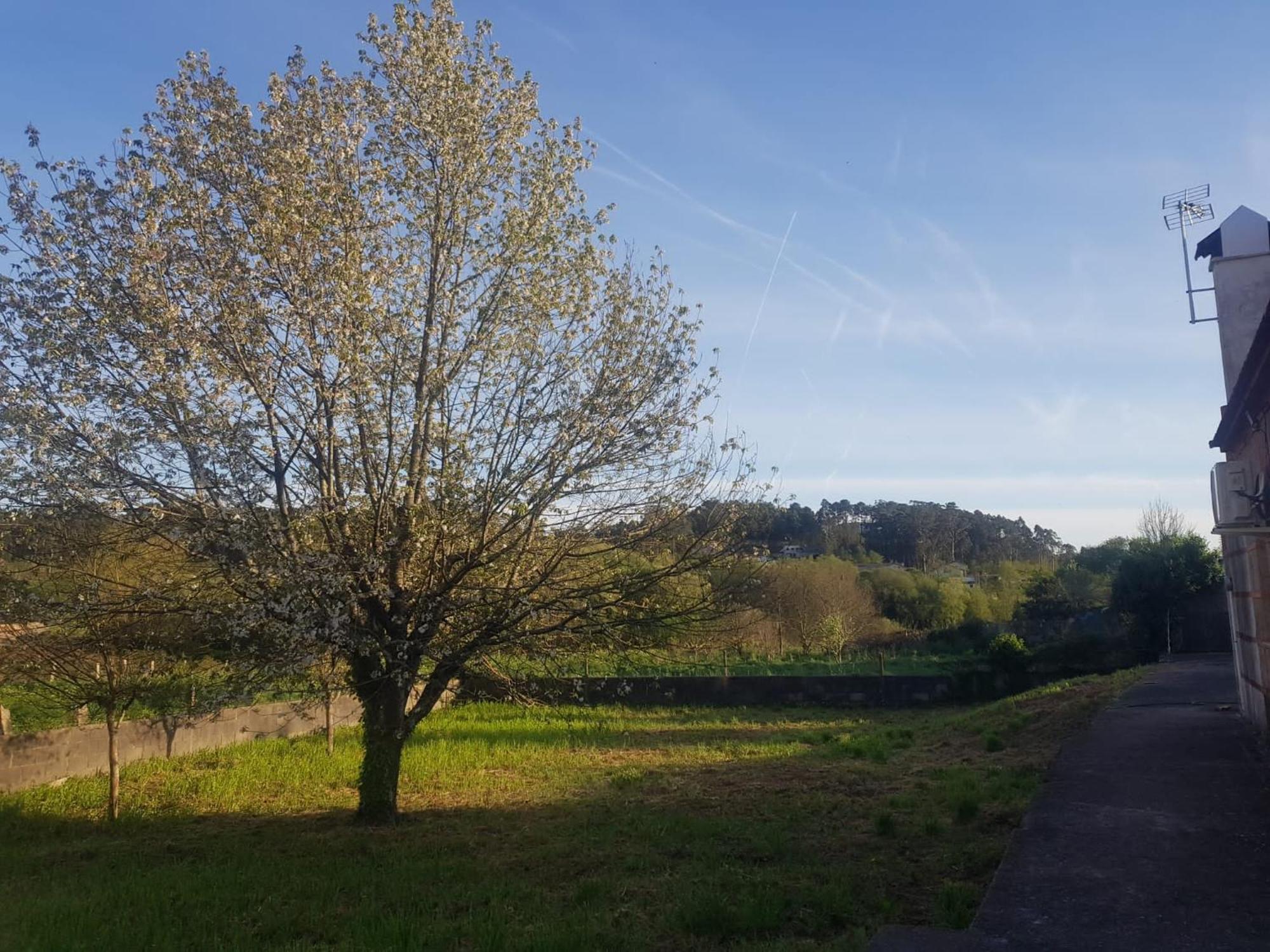 Casa La Porrinesa Βίλα Porriño Εξωτερικό φωτογραφία